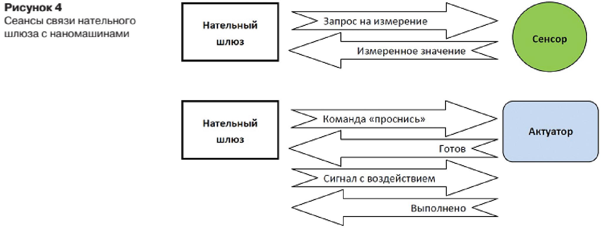 00011-1 Живые организмы в киберпространстве – проект «Биодрайвер»