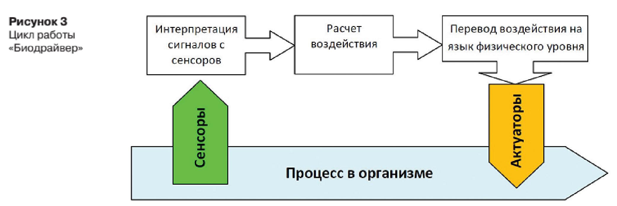 00011 Живые организмы в киберпространстве – проект «Биодрайвер»