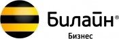 Beeline Центральный российский  форум по информационной безопасности проходит 4-5 февраля в Москве